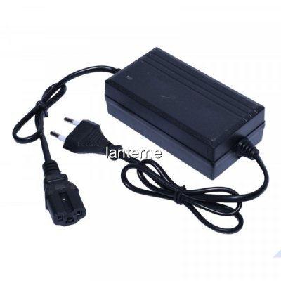 Alimentator Acumulator Pompa Stropit Electrica Vermorel 12V1A 7H043 XXM