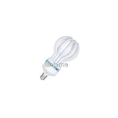 Bec Economic tip Bulb Floare Lotus Lumina Alba Rece E27 125W