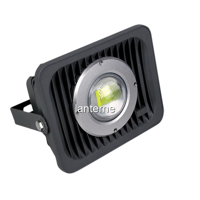 Proiector COB LED 50W cu Lupa la 220V