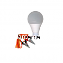 Bec cu LED 12v cu fir 12W 6400K MNR6035
