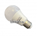 Bec cu LED Bramax A60 12-24V DC E27 9W 6400K D704-9EB MNR2728