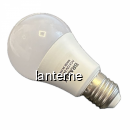 Bec cu LED Bramax A65 24V AC DC E27 9W 6400K MNR1000