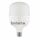 Bec EcoLED Tubular Gelux T80 25W E27 6500K GL-LEDT8025 CNN51334